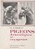 Pigeons domestiques et voyageurs 32 figures en noir
