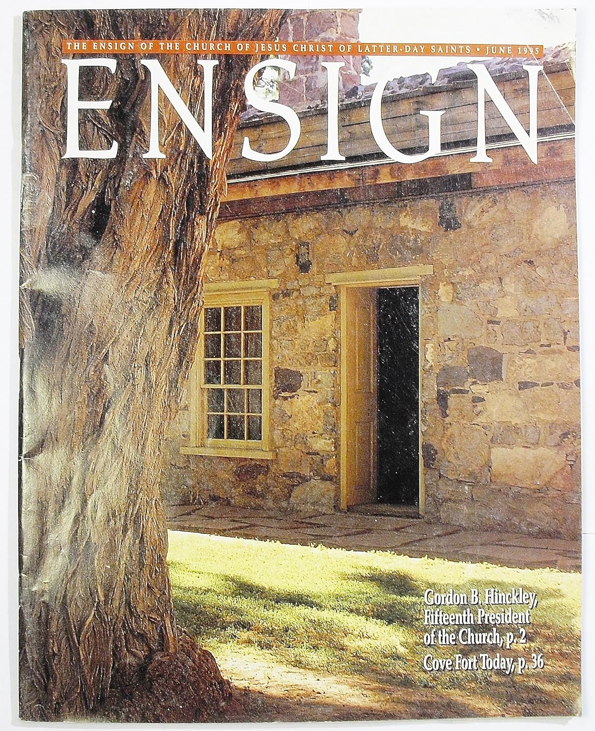 Ensign Magazine, Volume 25 Number 6, June 1995