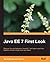 Java EE 7 First Look by Armel Fabrice, NDJOBO (2013) Paperback