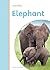 Elephant (Amicus Readers)
