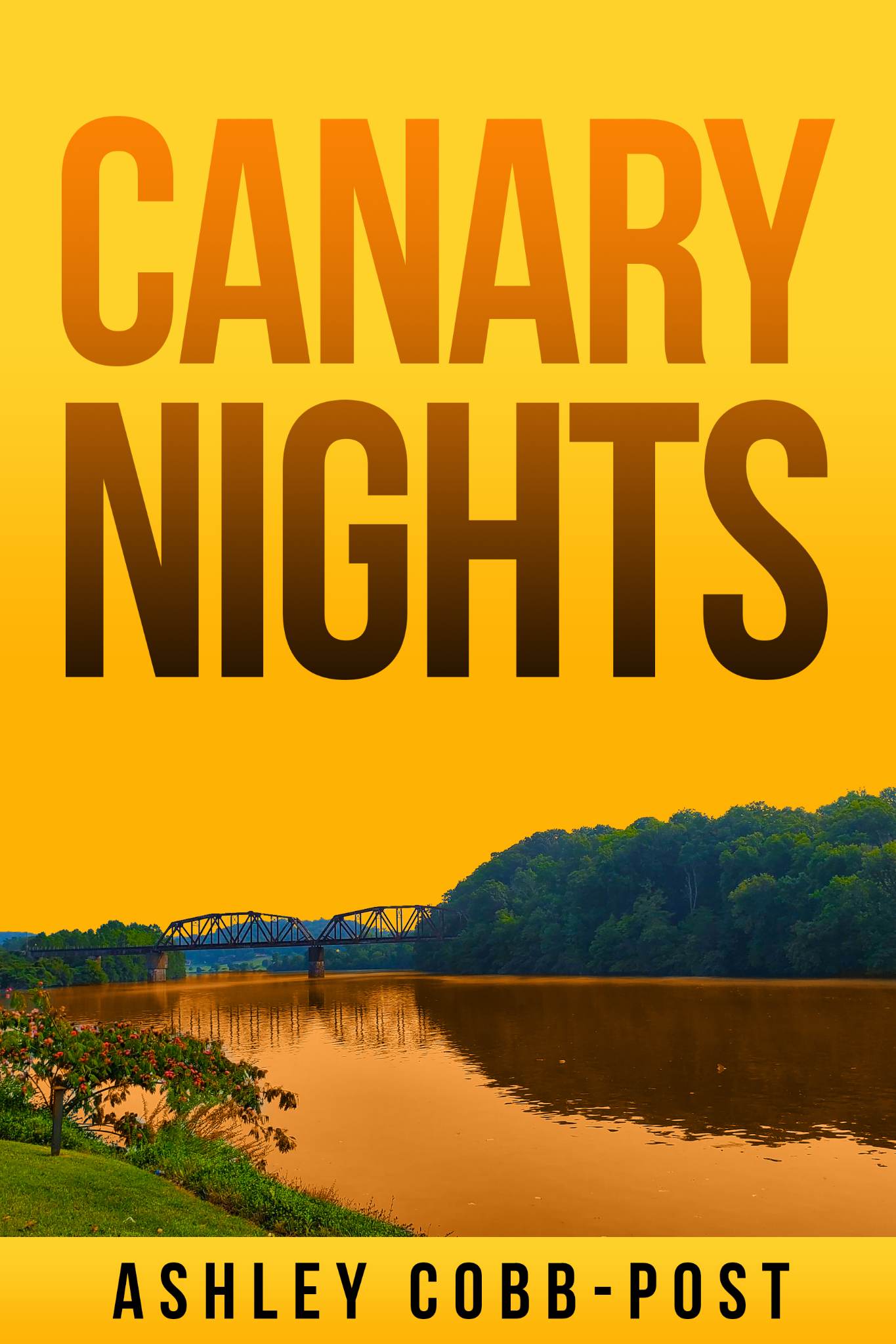 Canary Nights