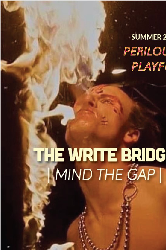 Perilous and Playful (The Write Bridge Journal)