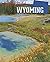 Wyoming: The Equality State (It's My State!) by Rick Petreycik (2016-01-15)