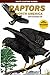 Raptors of North American R...