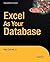Excel as Your Database 2007 edition by Cornell, Paul (2007) Paperback