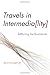 Travels in Intermediality (Interfaces: Studies in Visual Culture) by Bernd Herzogenrath (2012-06-12)