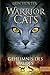 Warrior Cats Staffel 01/03. Geheimnis des Waldes by Erin Hunter by Erin Hunter