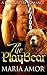 The PlayBear by Maria Amor (2015-04-11)