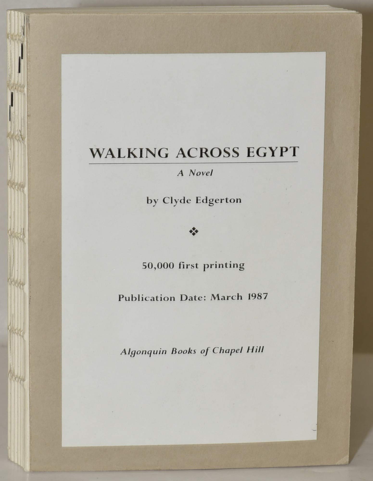 WALKING ACROSS EGYPT.