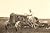 Careers in Agriculture (An ...