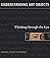 Understanding Art Objects: Thinking through the Eye by Tony Godfrey (2009-10-01)