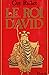LE ROI DAVID (HISTOIRE ROMANESQUE)