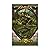 Lorwyn (Magic the Gathering...