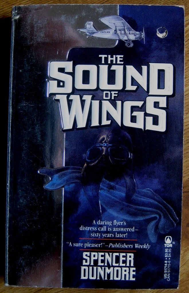The Sound of Wings (Paperback)