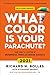 NEW-What Color Is Your Parachute 2020
