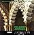 Architecture of the Islamic Cultural Sphere. Vol 4 A by Amjad Bohumil Prochazka