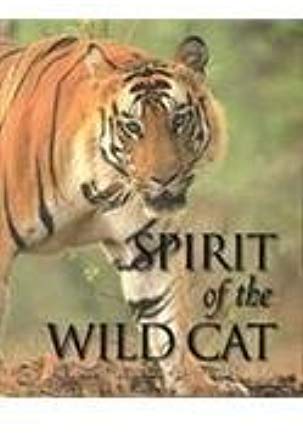 Spirit of the Wild Cat (Hardcover)
