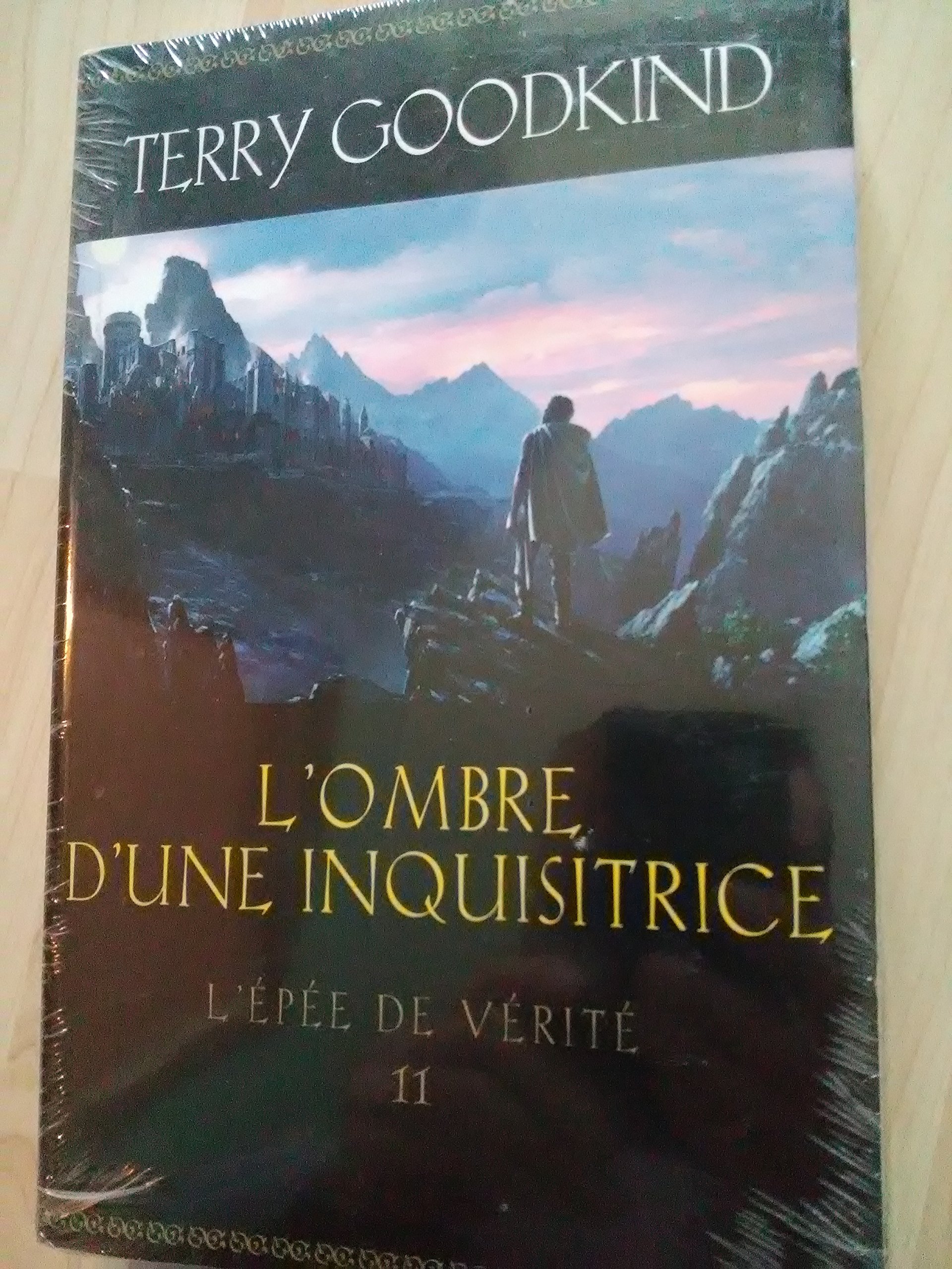 L'Épée de vérité, tome 11 : L'ombre d'une inquisitrice