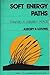 Soft Energy Paths: Towards a Durable Peace (Harper Colophon Books Cn653) Paperback – February, 1979