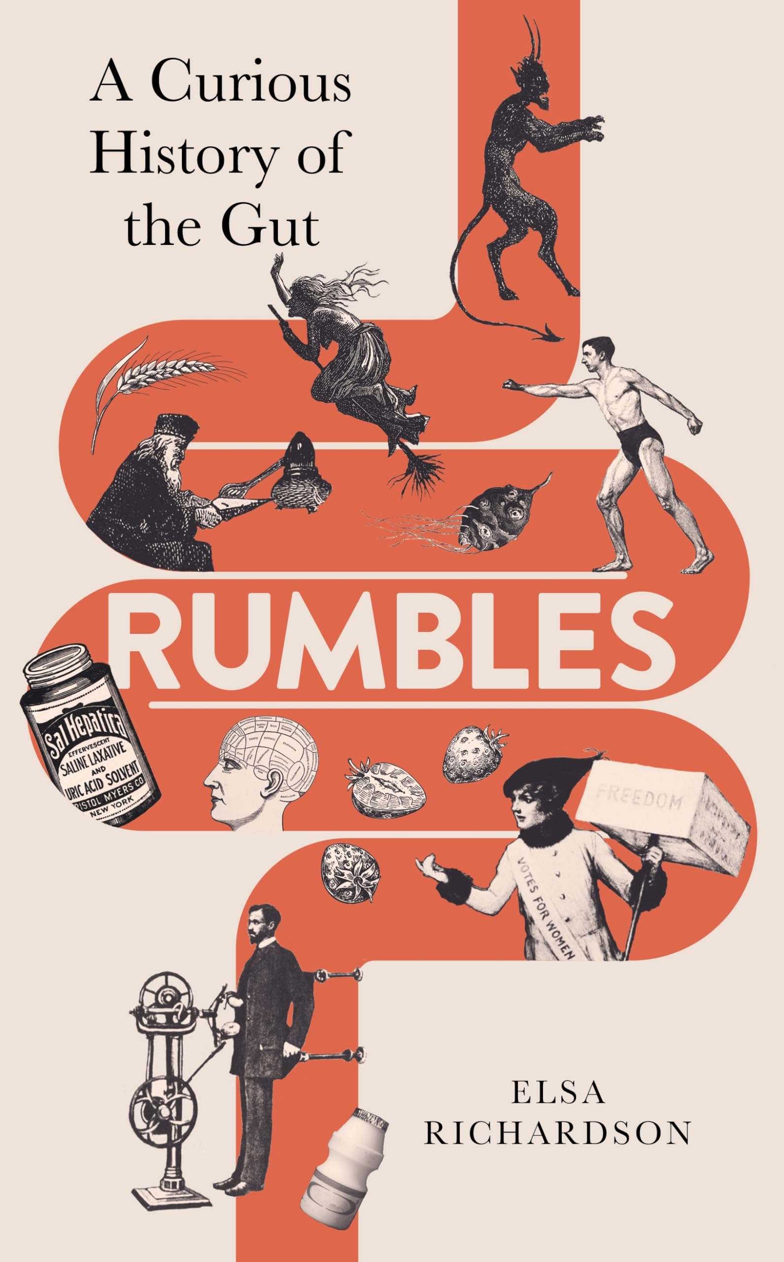 Rumbles: A Curious History of the Gut (Kindle Edition)
