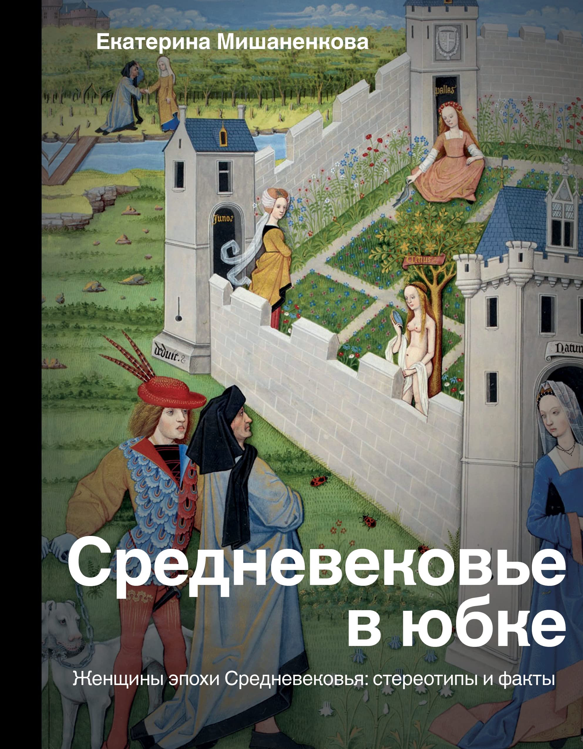 Средневековье в юбке (Hardcover)