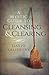 A Mystic Guide to Cleansing & Clearing by David Salisbury (2016-09-01)