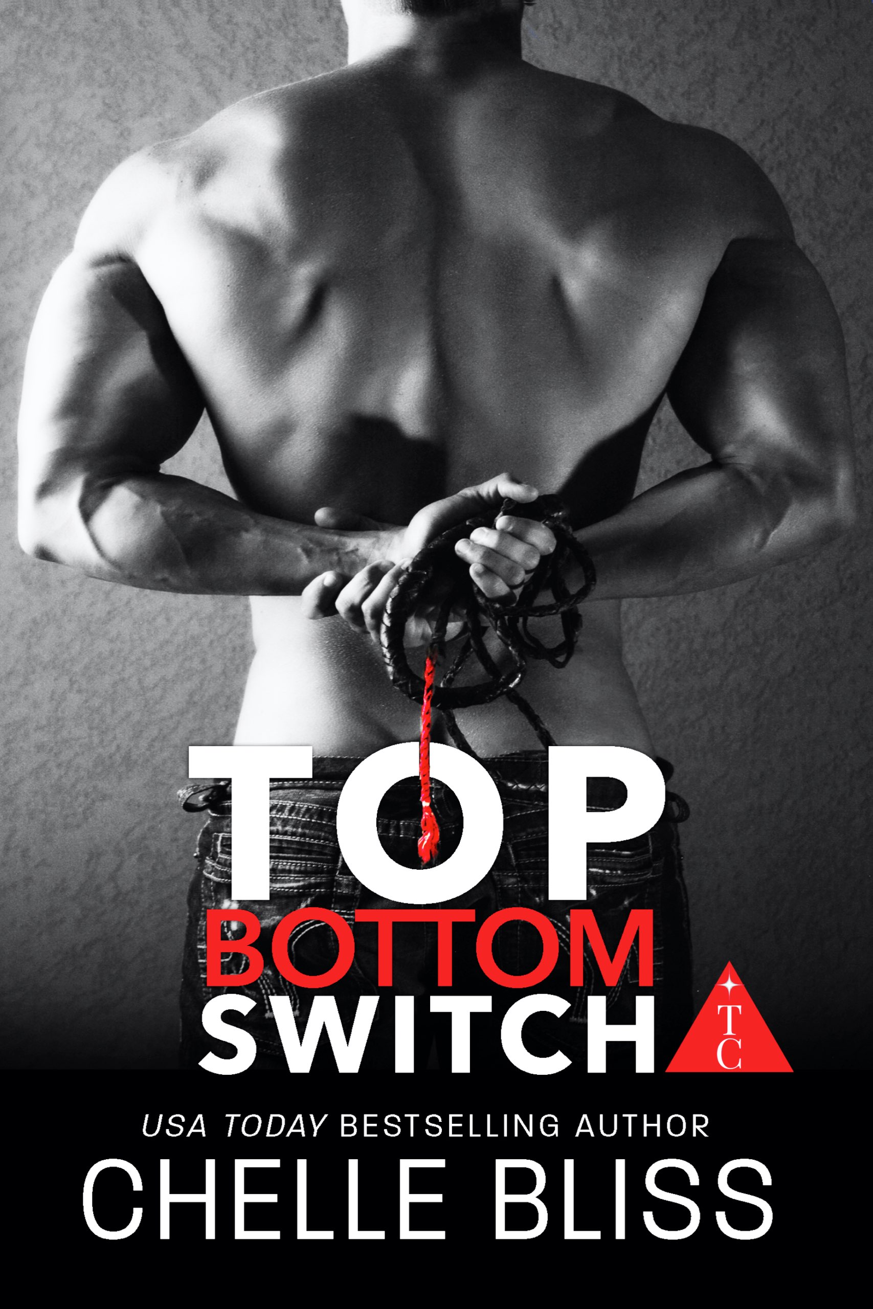 Top Bottom Switch (ALFA Investigations, #2.75)