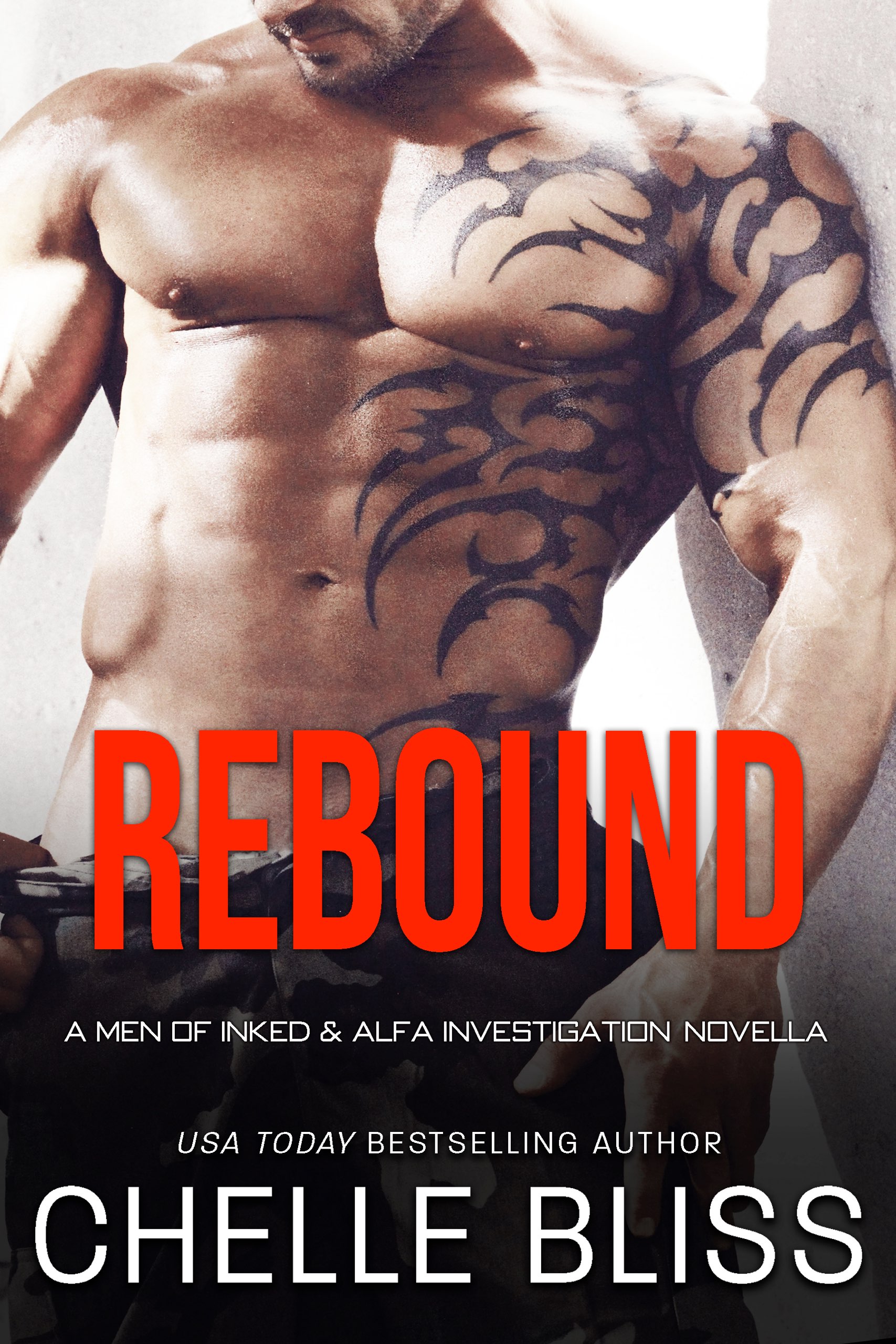 Rebound (Men of Inked, #2.75; ALFA Investigations, #2.5)
