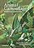 Animal Camouflage by Martin Stevens (2011-07-07)