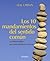 Los 10 mandamientos del sen...