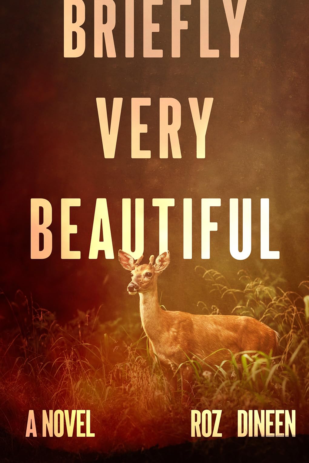 Briefly Very Beautiful