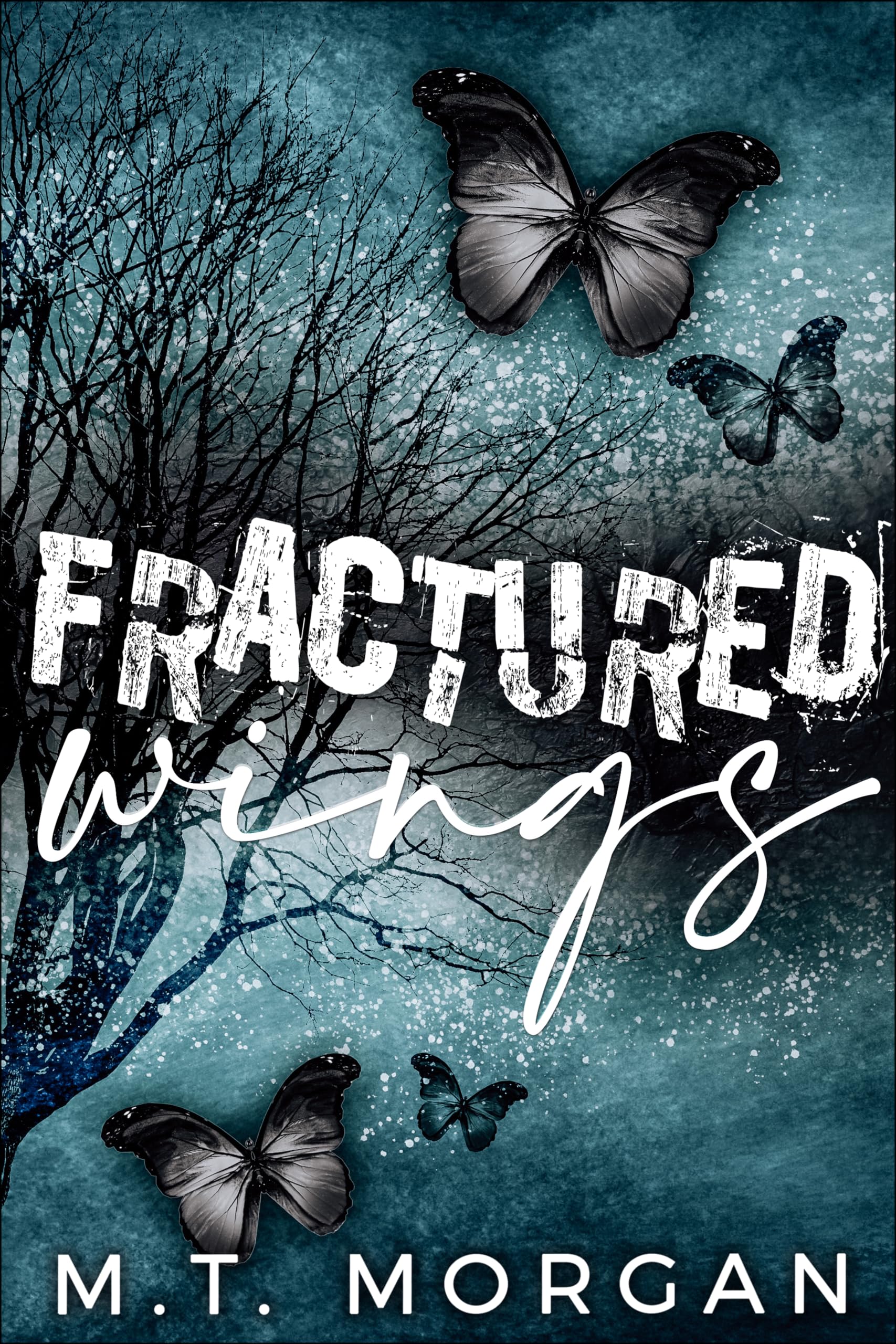 Fractured Wings : A Dark Forbidden Romance (Kindle Edition)