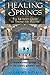 Healing Springs: The Ultimate Guide to Taking the Waters by Nathaniel Altman (2000-10-24)
