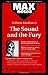 Sound and the Fury, The (MAXNotes Literature Guides) by Research & Education Association Staff, Boria Sax (1996) Paperback