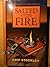 Salted with fire by Grif Stockley (2001-05-04)