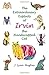 The Extraordinary Exploits of Irvin, the Handicapped Cat: A Book for All Ages by J. Lynn Hughes (2009-11-06)