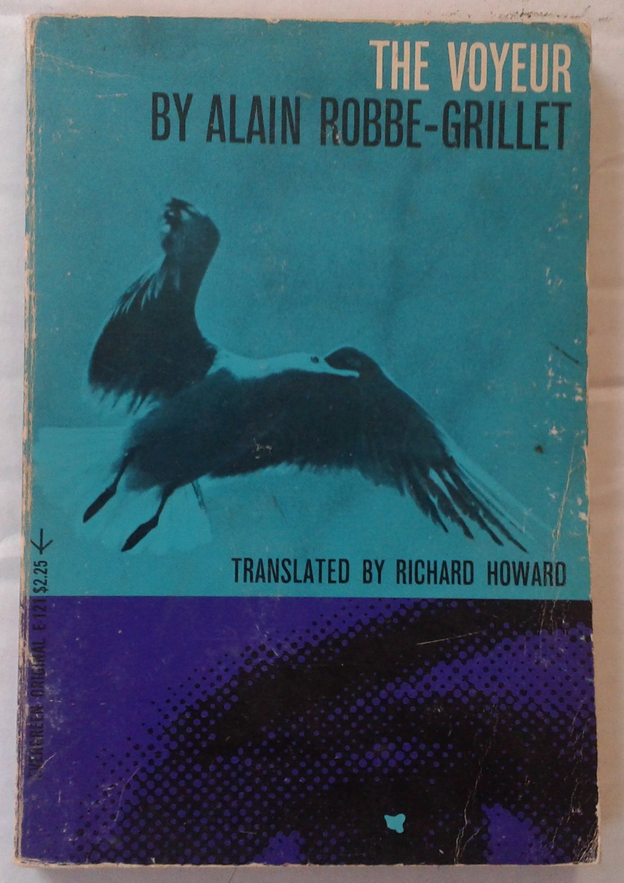 Voyeur, a Novel