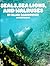 Seals, Sea Lions and Walruses: A First Book