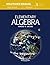 Elementary Algebra (Solutions Manual) by Harold R Jacobs (2016-08-29)