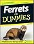 Ferrets For Dummies