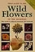 Field Guide to the Wild Flowers of the Highveld (Photographic Field Guides) by Braam van Wyk (1998-01-01)