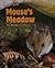Houghton Mifflin Science California: Indepndt Bk Lk Unit B On Lvl Mouse's Meadow