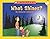 Little Leveled Readers: Level A - What Shines?: Just the Right Level to Help Young Readers Soar! by Deborah Schecter (2003-08-01)