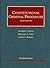 Constitutional Criminal Procedure (University Casebooks) by Andrew Taslitz (2007-06-06)