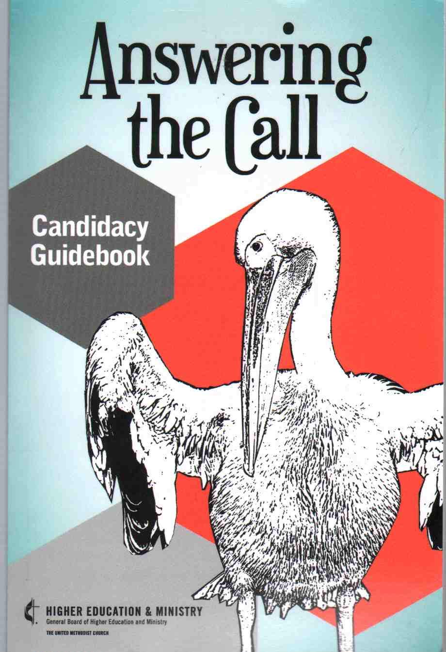 ANSWERING THE CALL: Candidacy Guidebook (Paperback)