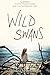 Wild Swans by Jessica Spotswood (2016-05-03)