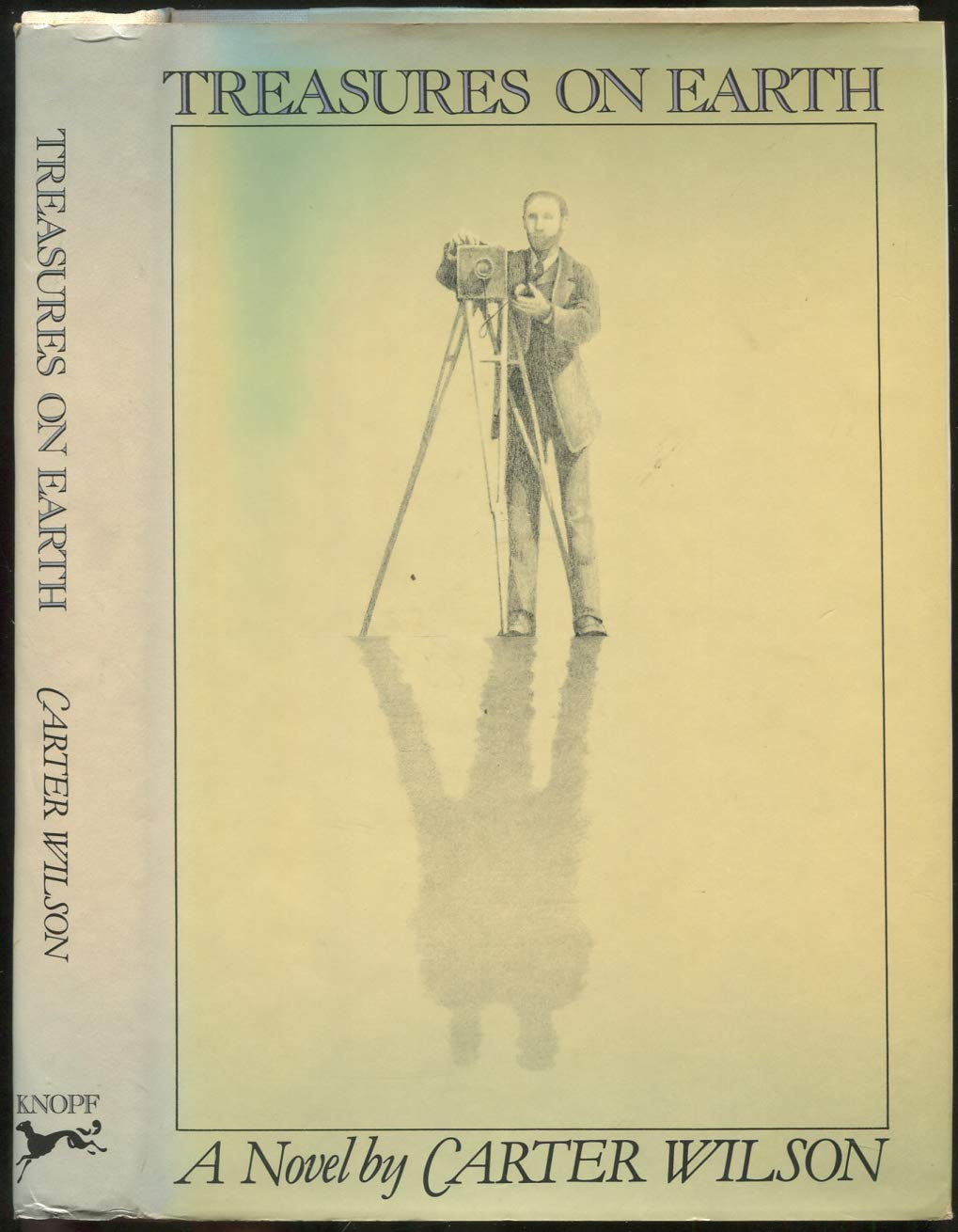 Treasures on Earth (Hardcover)