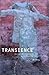 Transience: Chinese Experimental Art at the End of the Twentieth Century by Wu Hung (1999-09-06)