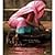 The Sari by Banerjee, Mukulika, Miller, Daniel [Bloomsbury Academic, 2008] (Paperback) [Paperback]