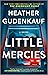 Little Mercies: A Novel